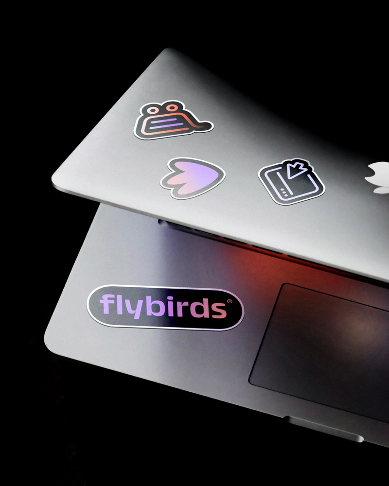 flybirds_identidade_visual_andrecasco_22_resultado