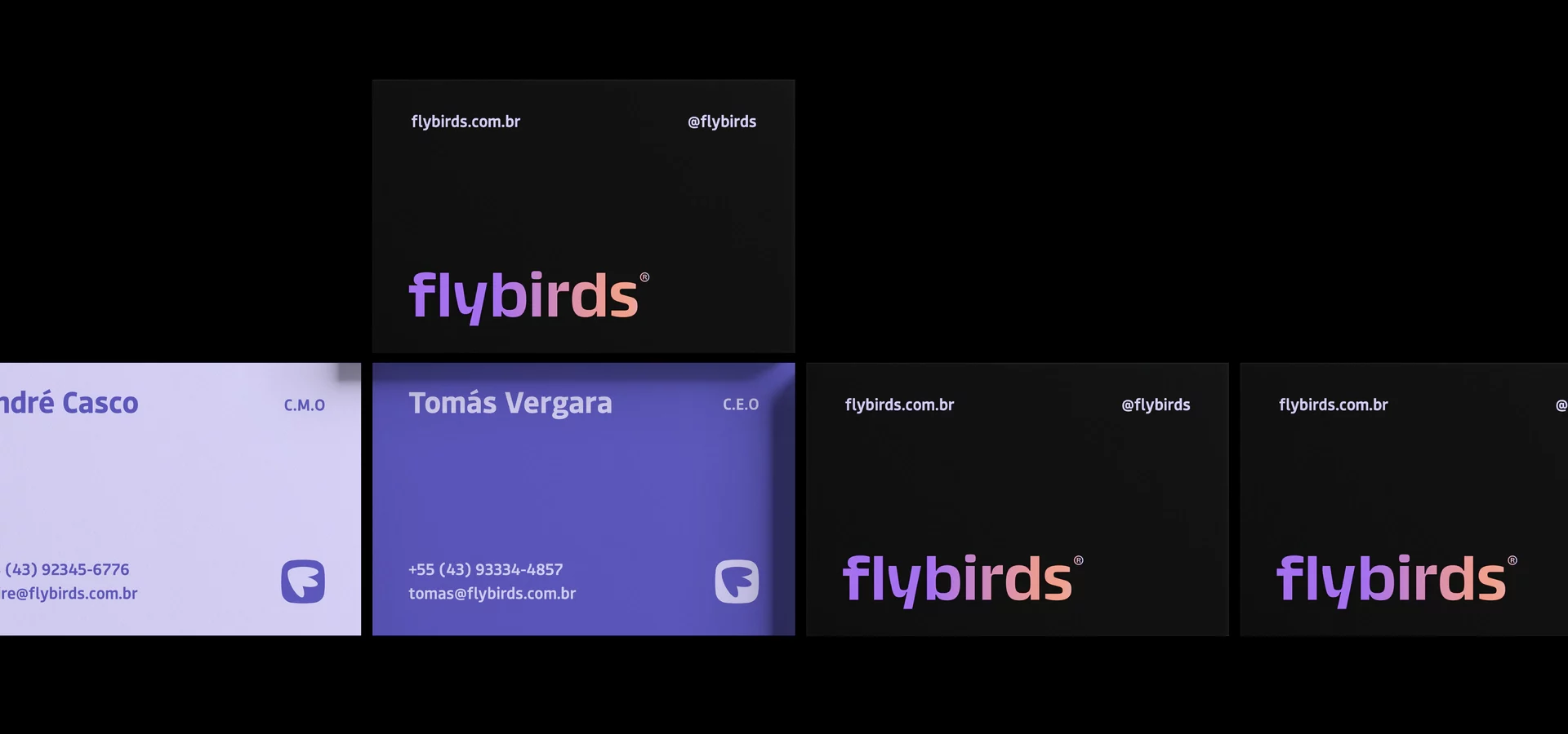 flybirds-identidade-visual-logotipo-andre-casco-19