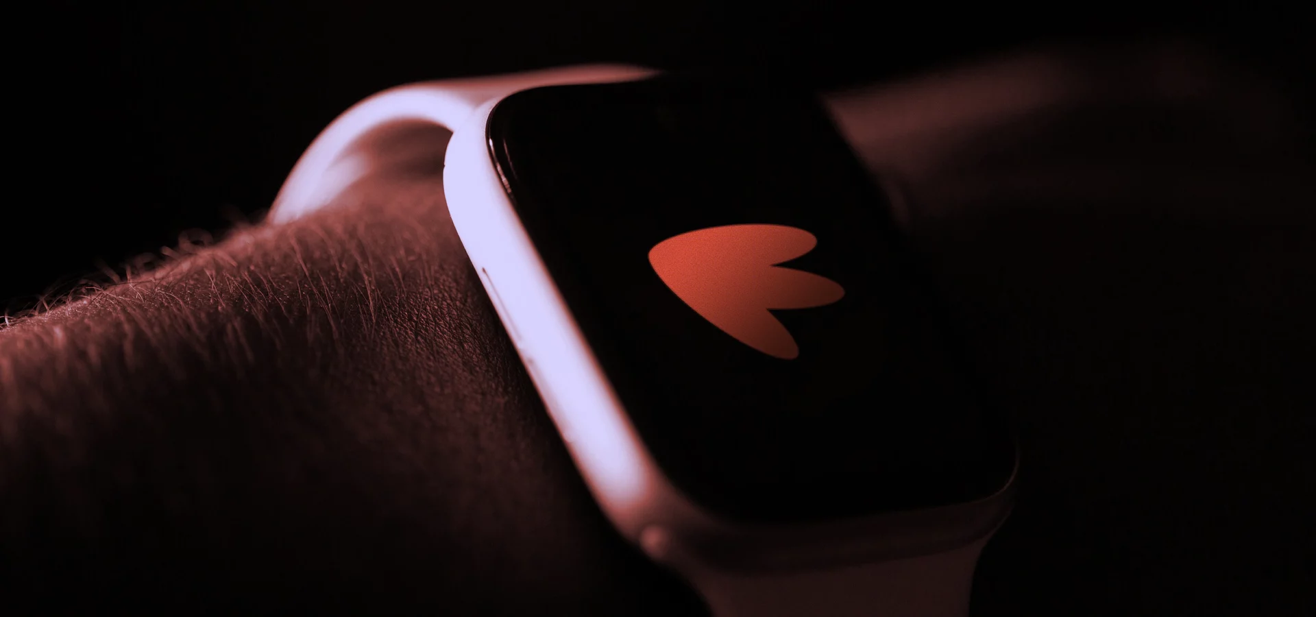 flybirds-identidade-visual-logotipo-andre-casco-23